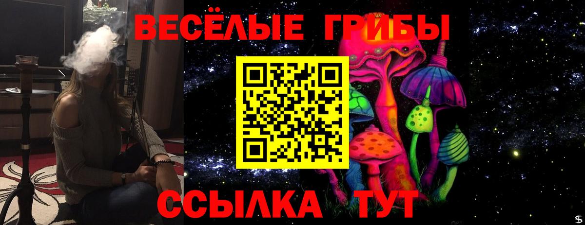 Таганрог  Галлюциногенные грибы Cubensis  Вход с VPN 
