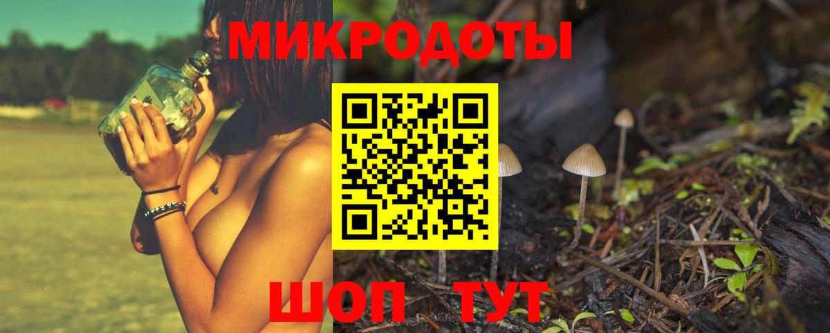 Псилоцибиновые грибы мицелий Таганрог